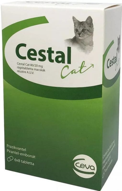 Parasitic infections cats, Cestal Cat Deworming - UKDorf 