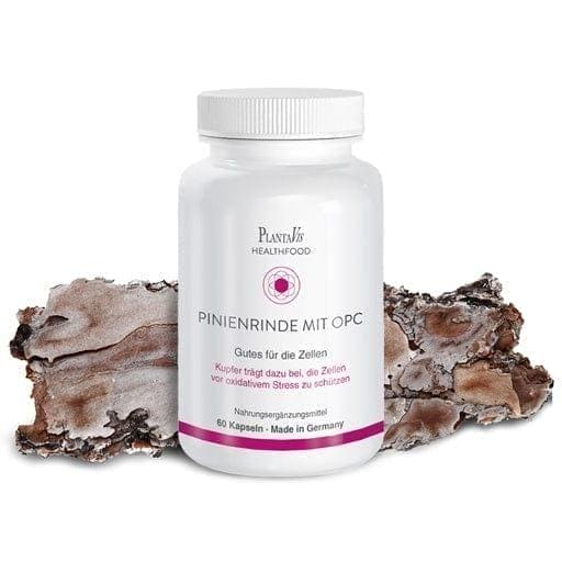 PINE BARK extract with OPC capsules - UKDorf 