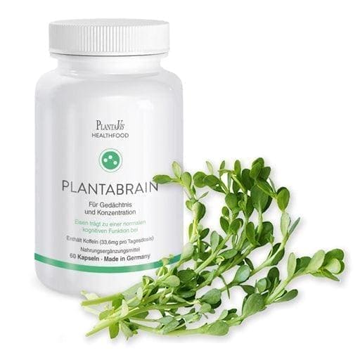 PLANTABRAIN brain capsules, caffeine, vitamin B12, iron, herbal extracts - UKDorf 