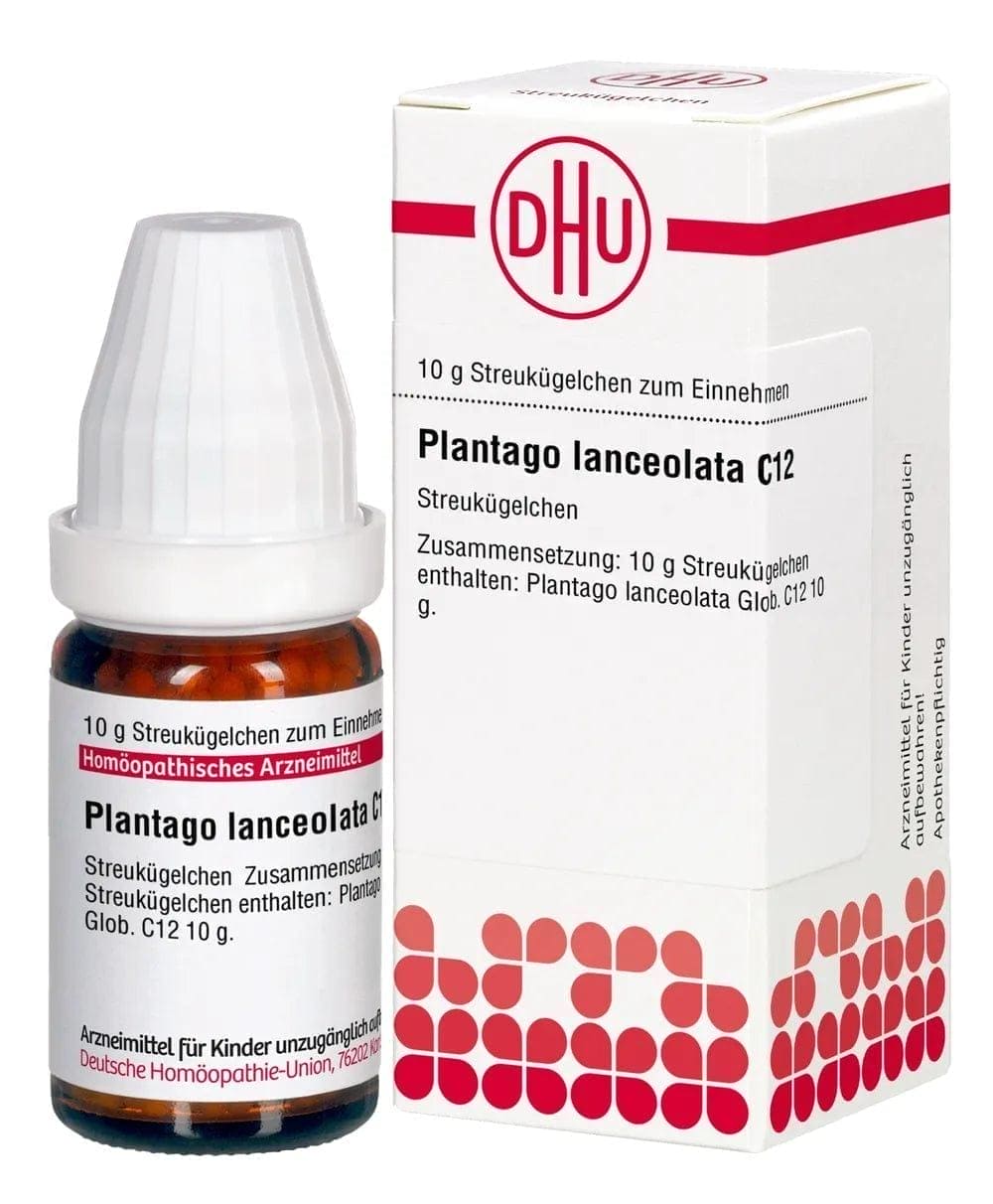 PLANTAGO LANCEOLATA C 4 globules - UKDorf 