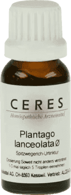 Plantago lanceolata mother tincture, CERES, ribwort plantain - UKDorf 
