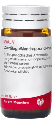 Polyarthritis, deforming arthrosis, CARTILAGO, Mandragora comp.Globuli - UKDorf 