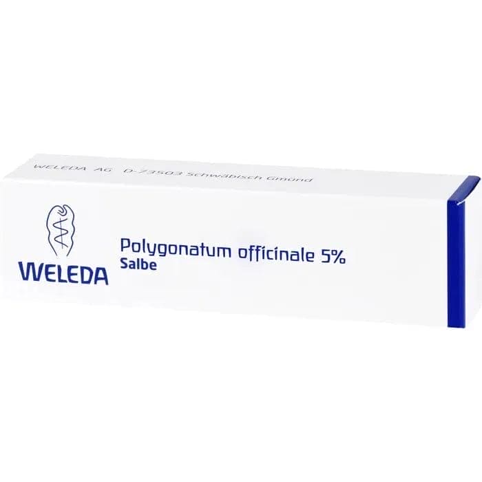 POLYGONATUM OFFICINALE, water retention, edema, hemorrhoids - UKDorf 