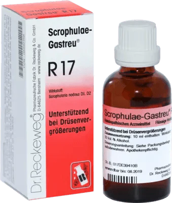 Prostate gland enlarged treatment, glandular fever and tiredness, SCROPHULAE-Gastreu R17 mixture - UKDorf 