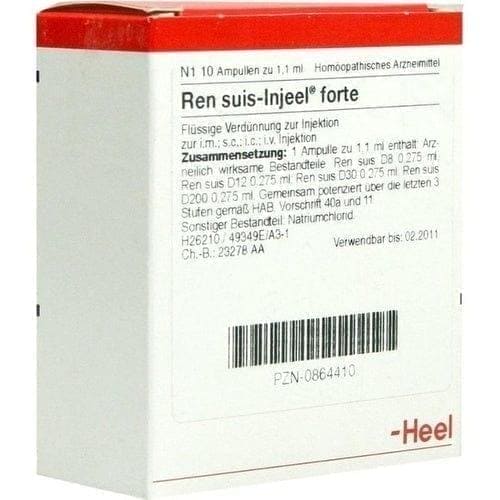 REN suis Injeel forte, Nephrolithiasis, hydronephrosis, albuminuria, nephrosis - UKDorf 