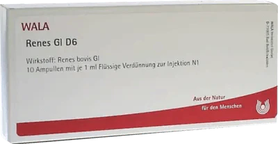 RENES GL D 6 ampoules - UKDorf 