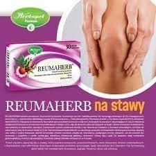 Reumaherb, devil's claw, purple coneflower, European meadowsweet UK