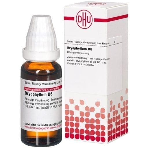 Rheumatism, BRYOPHYLLUM D 6 Dilution - UKDorf 