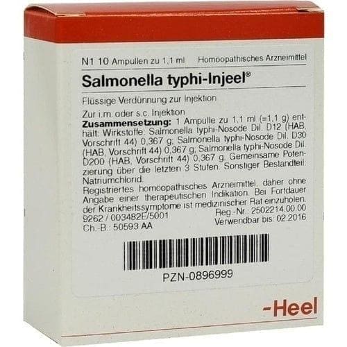 SALMONELLA TYPHI, Meteorism, cholangitis, cholecystitis, bronchitis, bronchopneumonia, myocarditis - UKDorf 