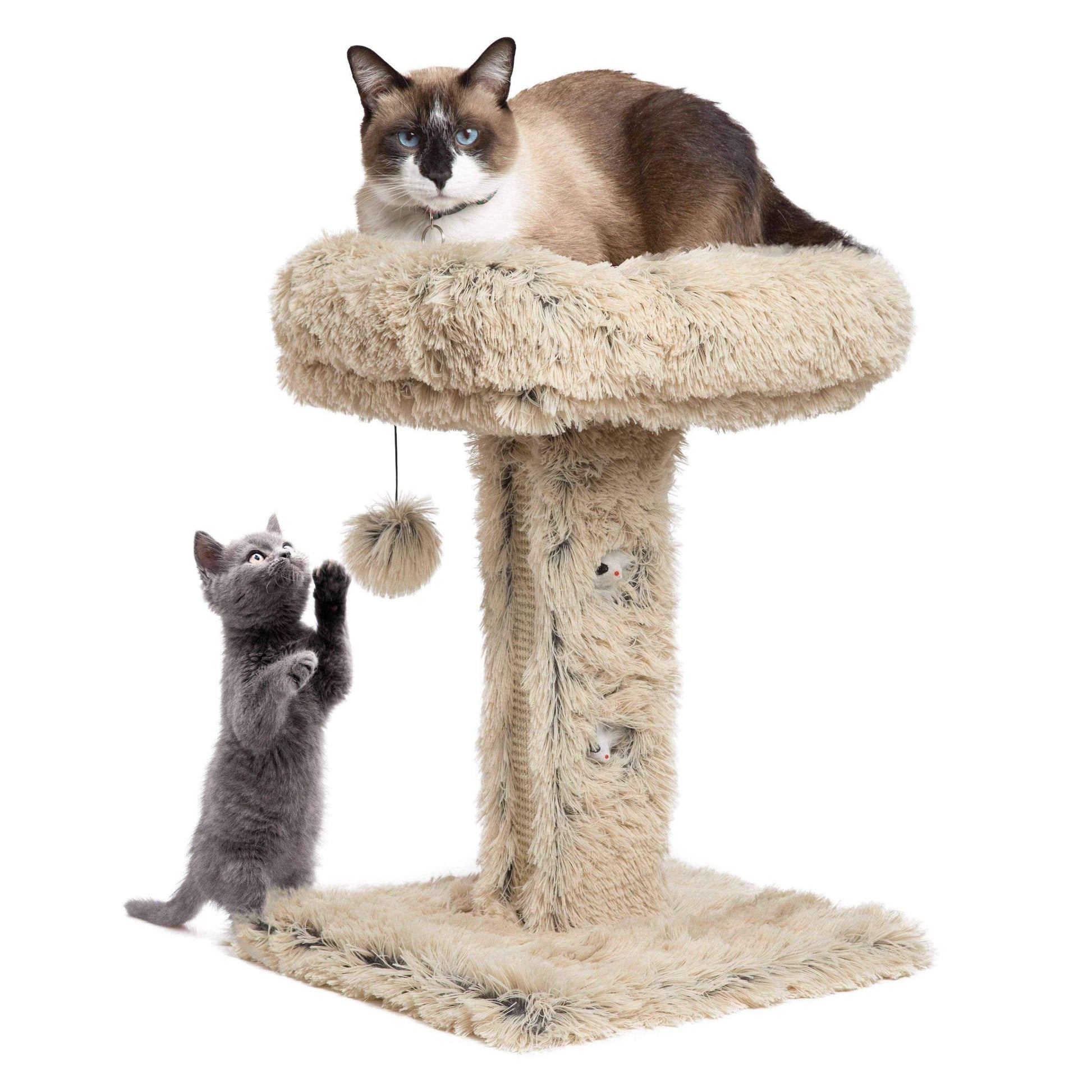 Scratch the surface | Cat Post Lounger with Sratching Surface UK