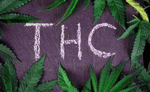 Screen test CANNABI for THC x 1 piece UK