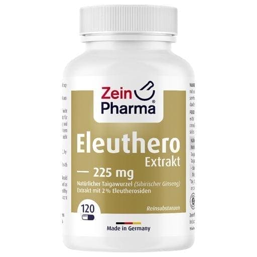 Siberian ginseng benefits, Eleutherococcus senticosus ELEUTHERO - UKDorf 