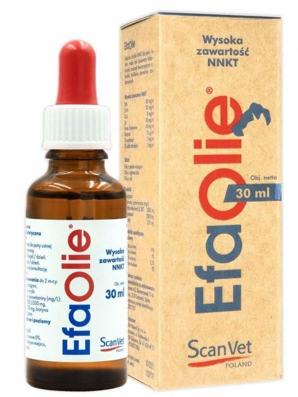 Skin disease of dogs and treatment, cat skin disease treatment, Efa Olie - UKDorf 