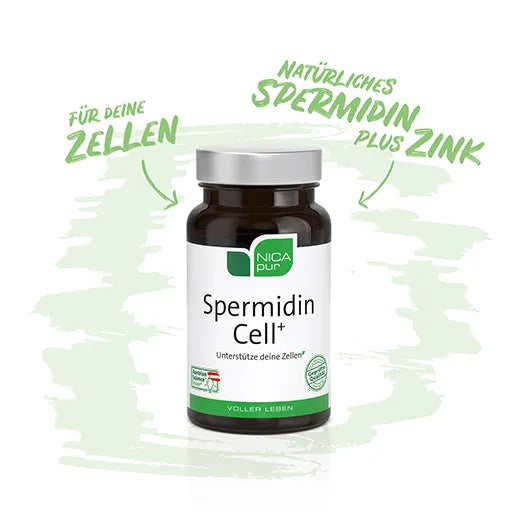 Spermidine Cell+ Capsules, spermidine supplement uk - UKDorf 