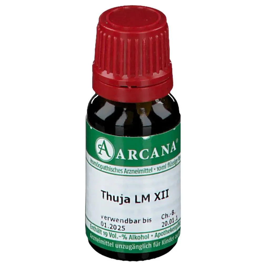 Thuja occidentalis, THUJA LM 12 dilution - UKDorf 