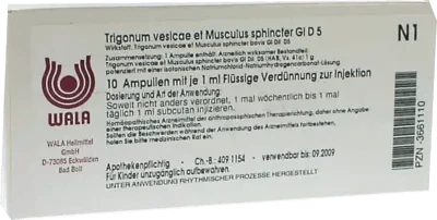 Trigonum vesicae and sphincter muscle GL D 5 - UKDorf 