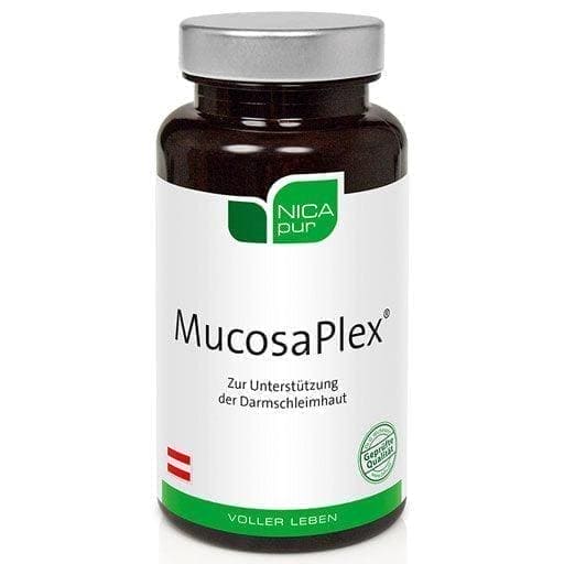 Ulcerative colitis, L-glutamine, symptoms of irritable bowel, NICAPUR MucosaPlex - UKDorf 