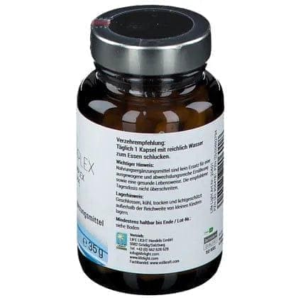 VITAMIN B COMPLEX Capsules, myo-inositol, choline bitartrate, For energy metabolism - UKDorf 