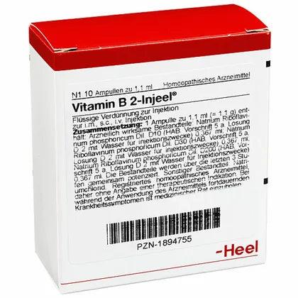 VITAMIN B2 deficiency INJEEL ampoules - UKDorf 