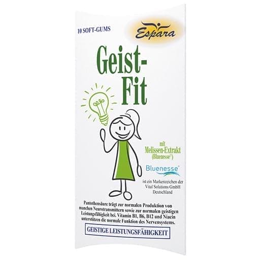 Vitamins, lemon balm extract, anthocyanidins, lecithin, GEIST-FIT soft gums - UKDorf 