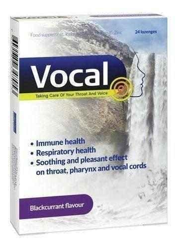 VOCAL Black currant x 24 lozenges UK