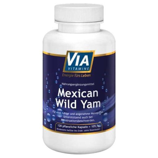 Wild mexican yam - UKDorf 